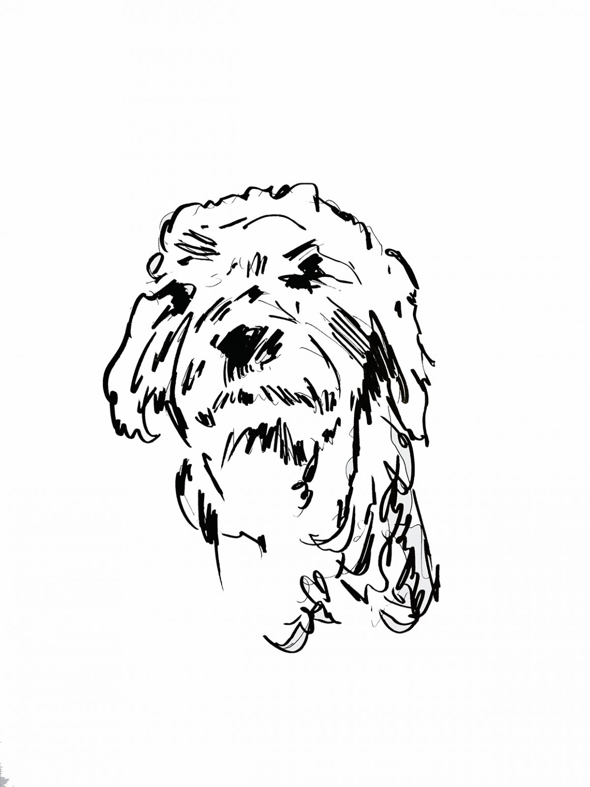 pentekening van hond